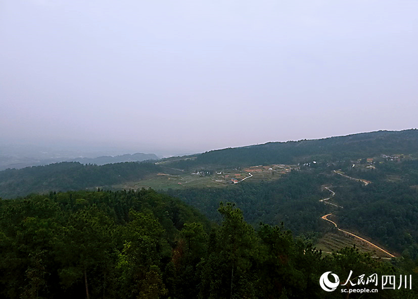 站在攬月樓遠望。李洪峰攝