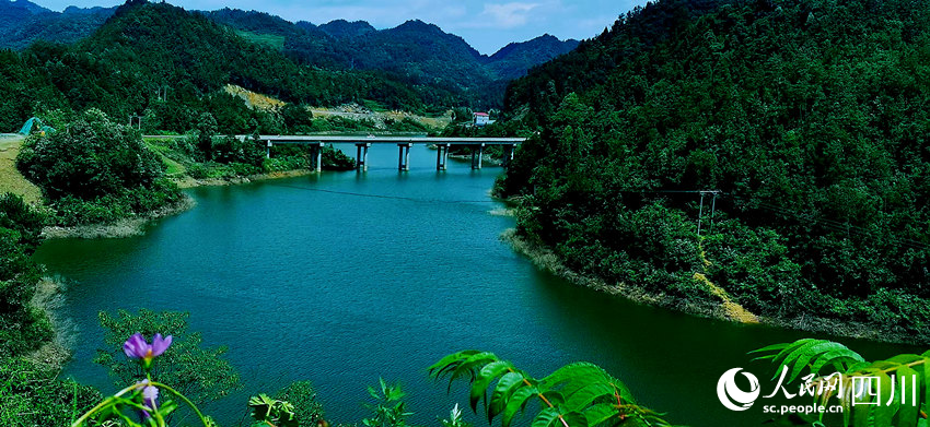 夏日千鳥湖。黃其均攝