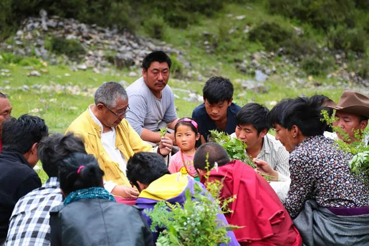 知名老藏醫(yī)洛熱彭措指導村民辨識藥材。甘孜日報社供圖