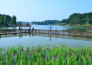 南部縣純陽山村：依托八爾湖秀美風光，農耕文化及濕地生態資源，實施旅游扶貧開發，建成濕地花海、荷塘月色、農耕博物館等多處鄉村旅游特色景點。