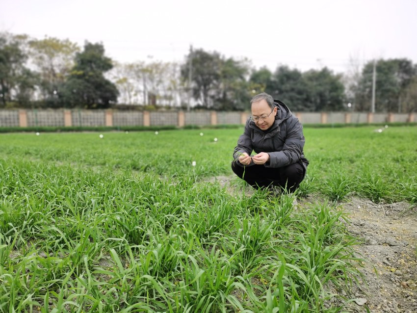 全國(guó)人大代表?xiàng)钗湓啤Ｊ茉L者供圖