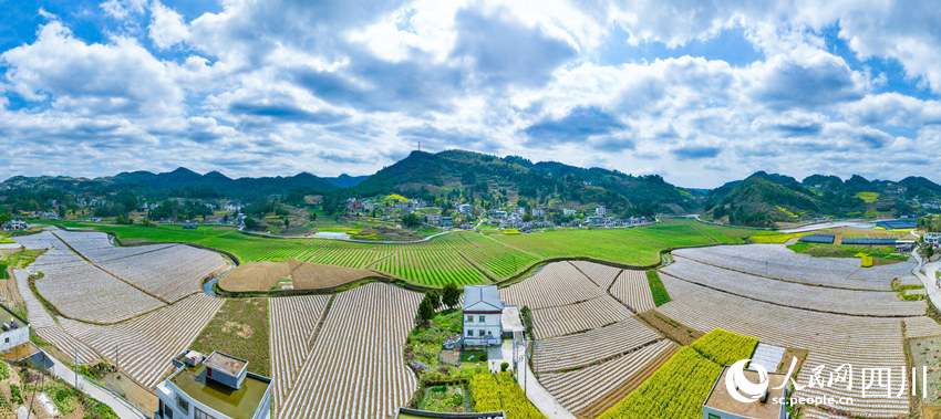 萬象“耕”新。李驍攝