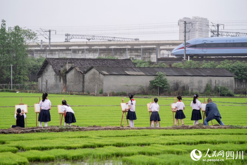 在老師指導下，學生們在秧田中寫生。翁光建攝