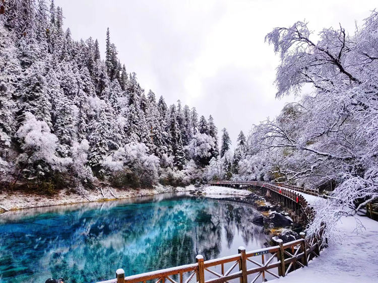 雪景中的五彩池。九管局供圖