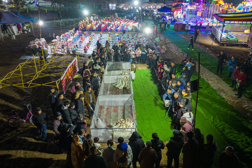 2月1日，群眾在眉山市彭山區(qū)金燭村的萬家水碾夜市體驗“套鵝”游樂項目。翁光建攝