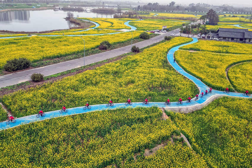 騎行愛好者在四川省眉山市彭山區(qū)“五湖四海”濕地公園綠道騎行賞花。翁光建攝