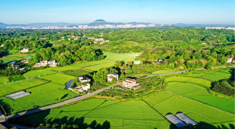 川渝共建巴蜀魚米之鄉(xiāng)。合江縣委宣傳部供圖