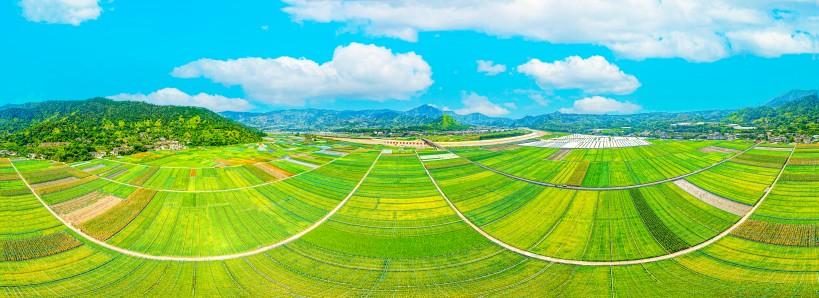 米易稻菜輪作產業園（四川省五星級現代化農業園區）。米易縣融媒體中心供圖