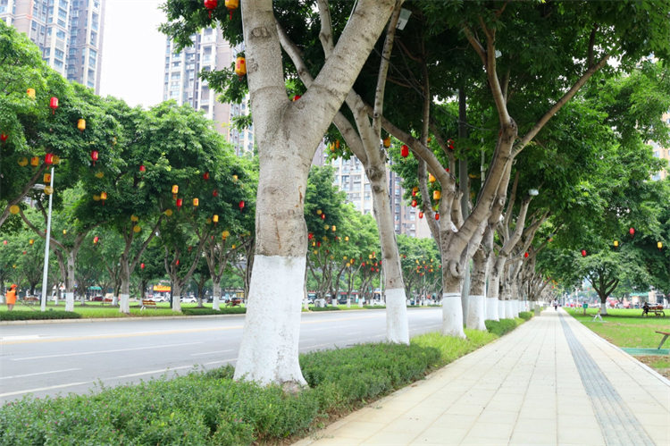 整治后的德陽珠江東路。蔡偉攝