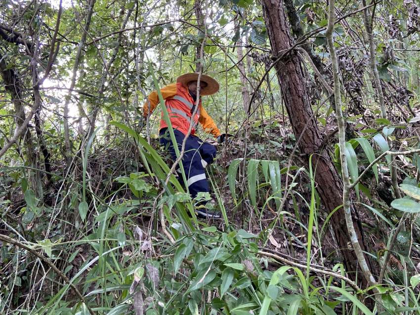 高溫下，達州工務段職工正在進行搜山掃危。崔建銀攝 