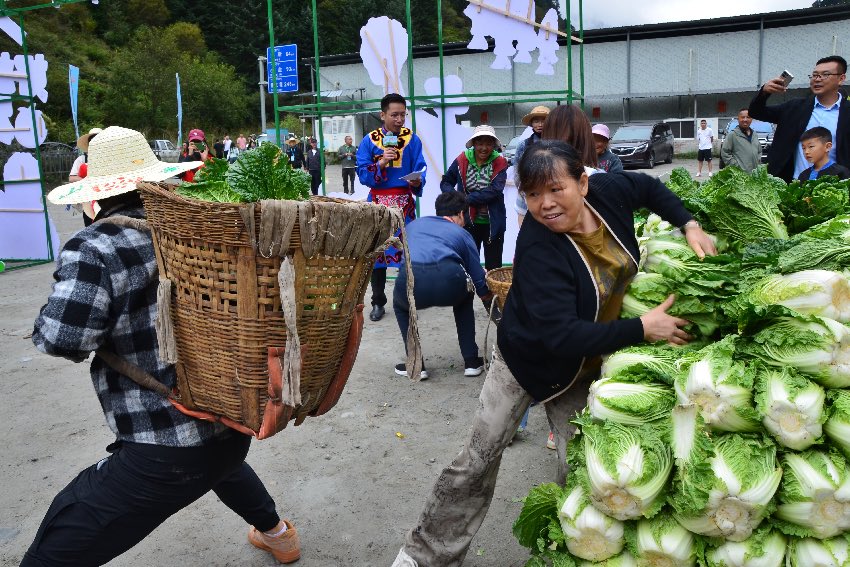 理縣第三屆大白菜節活動現場。主辦方供圖