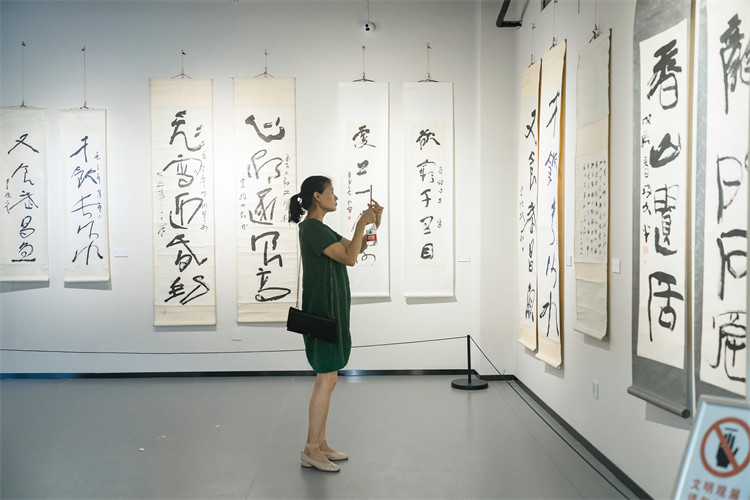 市民在李瓊久藝術(shù)館拍下好的參展作品。楊丹供圖