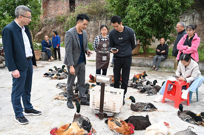 直播賣“土貨”現(xiàn)場。蔣兵供圖